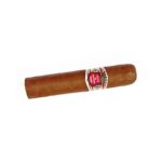 Hoyo-De-Monterry-Petit-Robusto.jpg